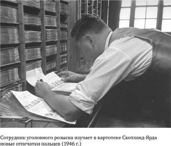Анатомия преступления. Что могут рассказать насекомые, отпечатки пальцев и ДНК Анатомия преступления. Что могут рассказать насекомые, отпечатки пальцев и ДНК