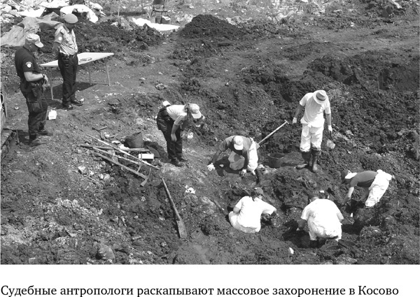Анатомия преступления. Что могут рассказать насекомые, отпечатки пальцев и ДНК Анатомия преступления. Что могут рассказать насекомые, отпечатки пальцев и ДНК