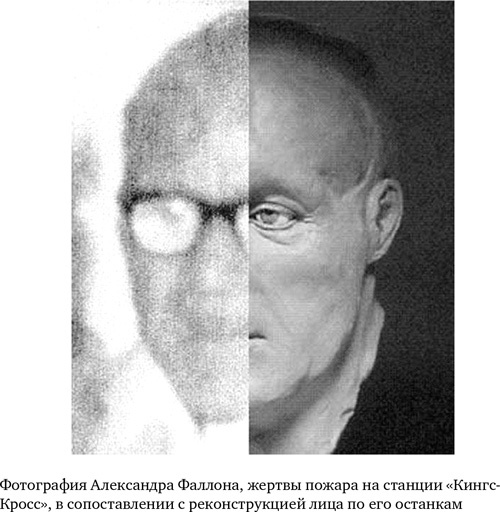 Анатомия преступления. Что могут рассказать насекомые, отпечатки пальцев и ДНК Анатомия преступления. Что могут рассказать насекомые, отпечатки пальцев и ДНК