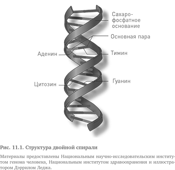 Игра случая. Математика и мифология совпадения