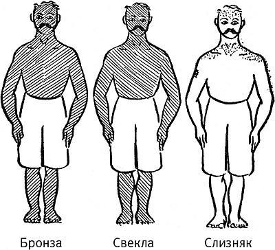 В погоне за Солнцем В погоне за Солнцем