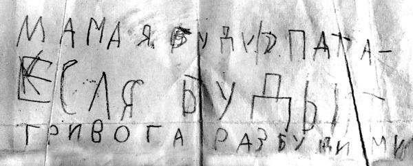 Жизнь в балете. Семейные хроники Плисецких и Мессереров Жизнь в балете. Семейные хроники Плисецких и Мессереров