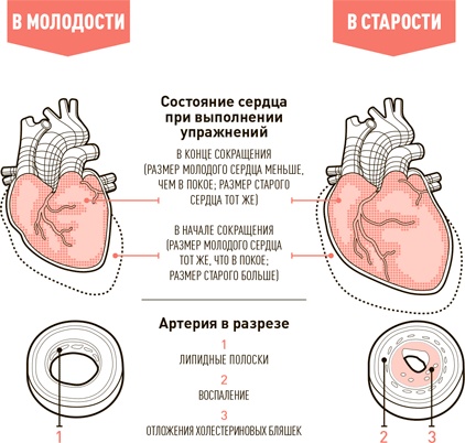 Проект Better Man. 2476 способов прокачать здоровье, форму, карьеру и секс