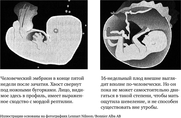 Миллиарды и миллиарды. Размышления о жизни и смерти на рубеже тысячелетий