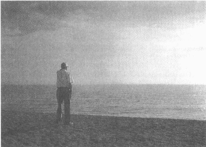 Занимательное волноведение. Волнения и колебания вокруг нас