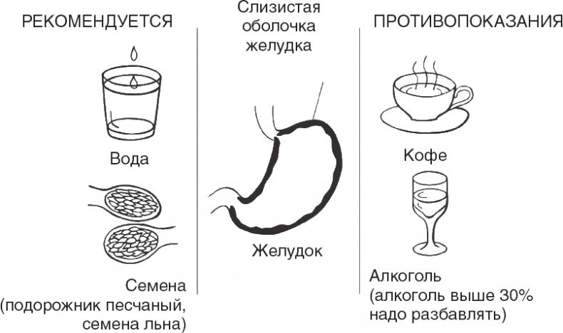 Твой второй мозг - кишечник. Книга-компас по невидимым связям нашего тела Твой второй мозг - кишечник. Книга-компас по невидимым связям нашего тела