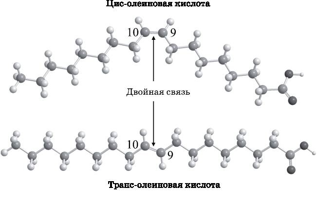 Абсолютный минимум. Как квантовая теория объясняет наш мир Абсолютный минимум. Как квантовая теория объясняет наш мир