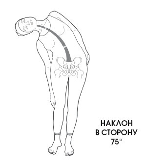 Диагностика и лечение позвоночника. Уникальная система доктора А. М. Уриа Диагностика и лечение позвоночника. Уникальная система доктора А. М. Уриа