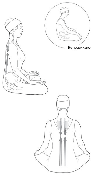 Диагностика и лечение позвоночника. Уникальная система доктора А. М. Уриа Диагностика и лечение позвоночника. Уникальная система доктора А. М. Уриа