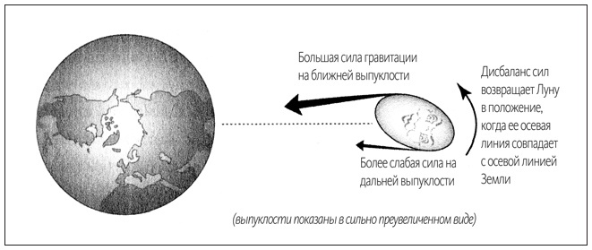 Ритм вселенной. Как из хаоса возникает порядок Ритм вселенной. Как из хаоса возникает порядок