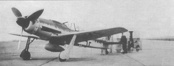 Focke Wulf Fw 190D Ta 15 Focke Wulf Fw 190D Ta 15