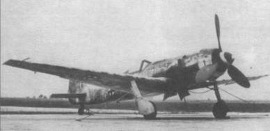 Focke Wulf Fw 190D Ta 15 Focke Wulf Fw 190D Ta 15