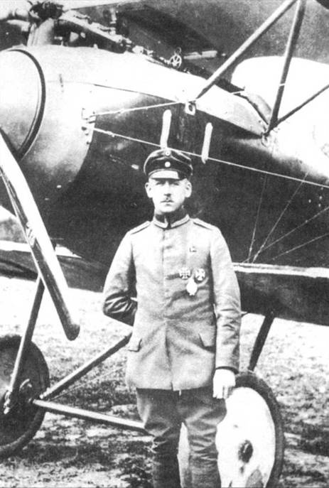 Боевое применение германских истребителей Albatros в Первой мировой войне Боевое применение германских истребителей Albatros в Первой мировой войне