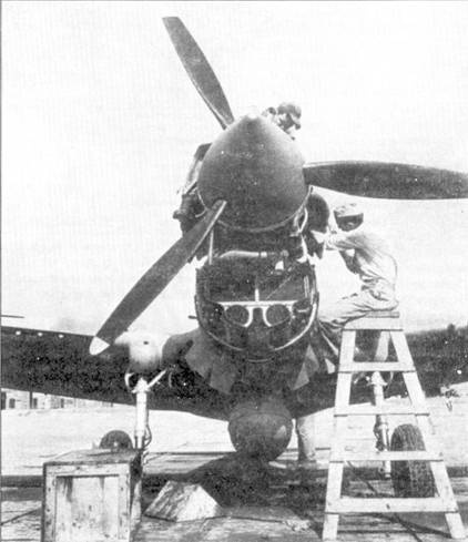 Curtiss P-40. Часть 3 Curtiss P-40. Часть 3
