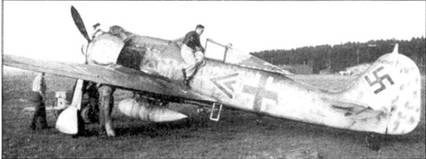 Асы люфтваффе пилоты Fw 190 на Западном фронте Асы люфтваффе пилоты Fw 190 на Западном фронте
