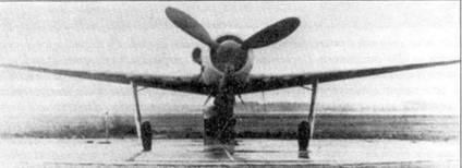 Асы люфтваффе пилоты Fw 190 на Западном фронте Асы люфтваффе пилоты Fw 190 на Западном фронте