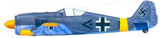 Асы люфтваффе. Пилоты Fw 190 на Восточном фронте