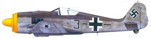 Асы люфтваффе. Пилоты Fw 190 на Восточном фронте Асы люфтваффе. Пилоты Fw 190 на Восточном фронте