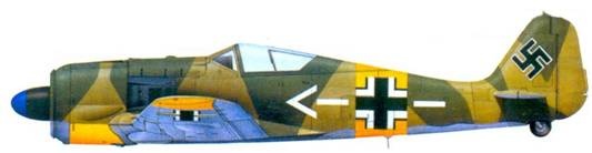 Асы люфтваффе. Пилоты Fw 190 на Восточном фронте Асы люфтваффе. Пилоты Fw 190 на Восточном фронте