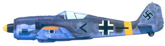 Асы люфтваффе. Пилоты Fw 190 на Восточном фронте