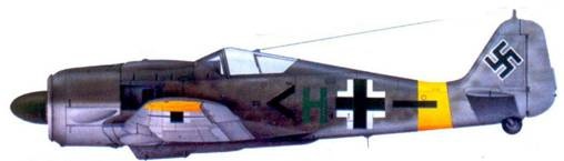 Асы люфтваффе. Пилоты Fw 190 на Восточном фронте