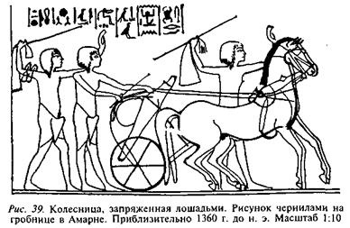 Египтяне. Великие строители пирамид Египтяне. Великие строители пирамид