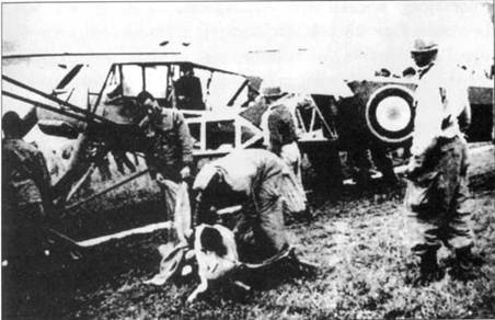 Fieseler Storch