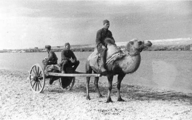 Танки на Халхин-Голе. Необъявленная война Сталина Танки на Халхин-Голе. Необъявленная война Сталина