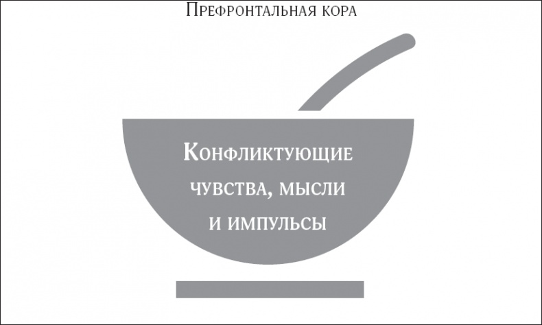 Покой, игра, развитие
