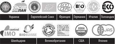 Здоровое питание в большом городе Здоровое питание в большом городе
