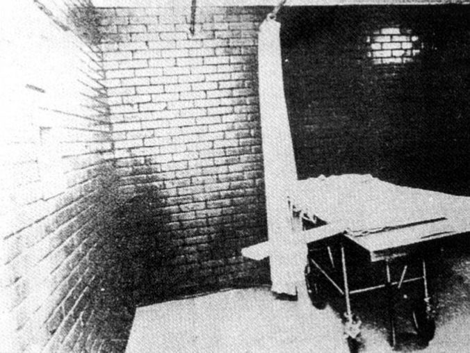Смертная казнь. История и виды высшей меры наказания от начала времен до наших дней Смертная казнь. История и виды высшей меры наказания от начала времен до наших дней