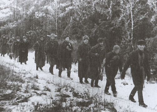 Серпухов. Последний рубеж. 49-я армия в битве за Москву. 1941 Серпухов. Последний рубеж. 49-я армия в битве за Москву. 1941