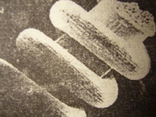 Феномены древней культуры востока Северной Азии Феномены древней культуры востока Северной Азии