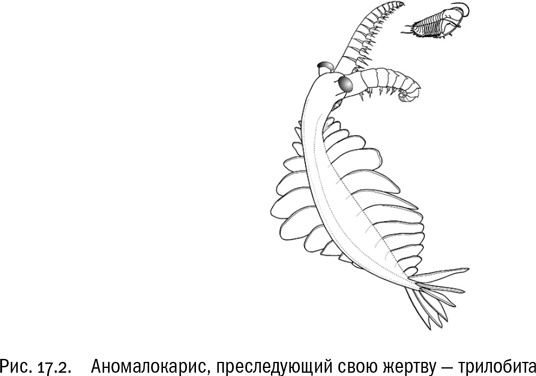 От атомов к древу. Введение в современную науку о жизни От атомов к древу. Введение в современную науку о жизни