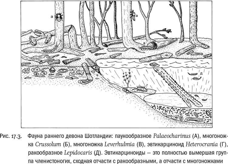 От атомов к древу. Введение в современную науку о жизни От атомов к древу. Введение в современную науку о жизни