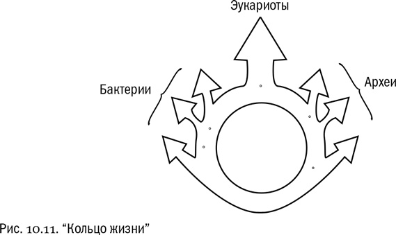 От атомов к древу. Введение в современную науку о жизни От атомов к древу. Введение в современную науку о жизни