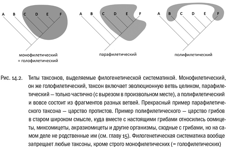 От атомов к древу. Введение в современную науку о жизни От атомов к древу. Введение в современную науку о жизни