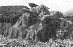 Стальной кулак Сталина. История советского танка 1943-1955