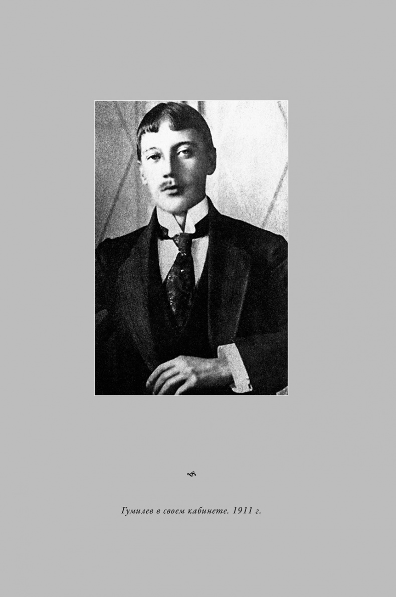 Воин и дева. Мир Николая Гумилева и Анны Ахматовой Воин и дева. Мир Николая Гумилева и Анны Ахматовой