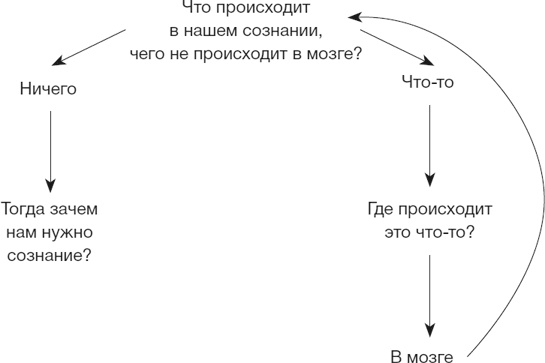 Homo Deus. Краткая история будущего