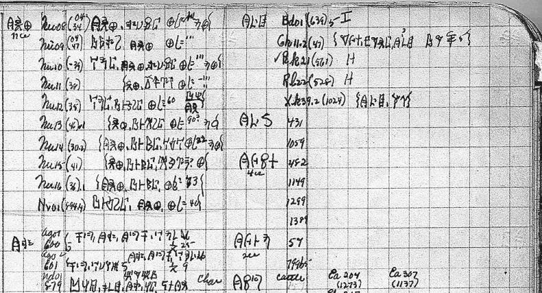 Тайна лабиринта. Как была прочитана забытая письменность Тайна лабиринта. Как была прочитана забытая письменность