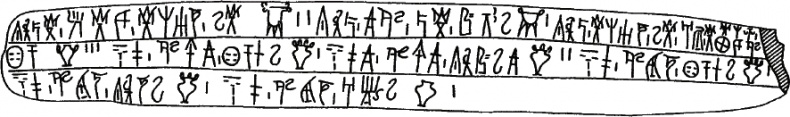 Тайна лабиринта. Как была прочитана забытая письменность Тайна лабиринта. Как была прочитана забытая письменность