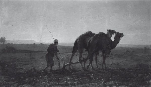 История ислама. Исламская цивилизация от рождения до наших дней История ислама. Исламская цивилизация от рождения до наших дней