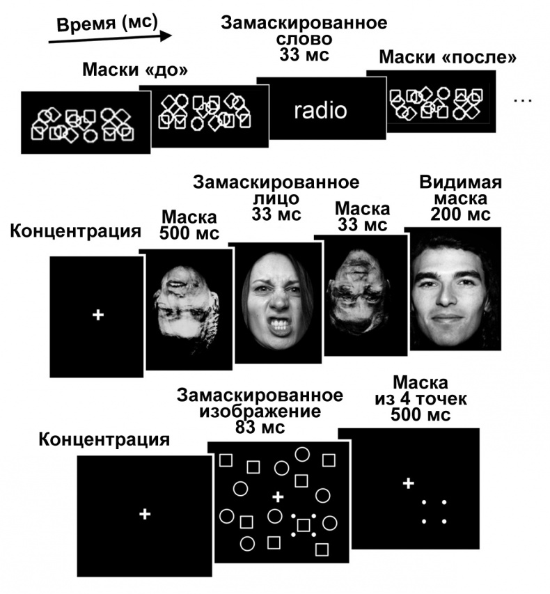 Сознание и мозг. Как мозг кодирует мысли Сознание и мозг. Как мозг кодирует мысли