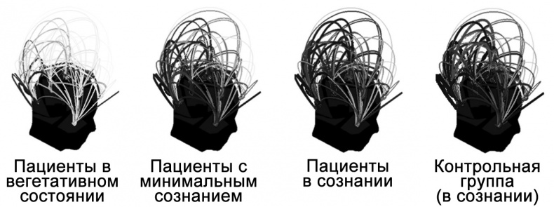 Сознание и мозг. Как мозг кодирует мысли Сознание и мозг. Как мозг кодирует мысли