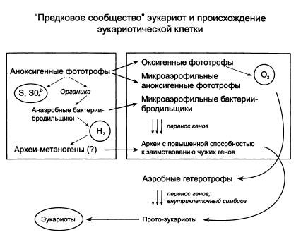 Рождение сложности. Эволюционная биология сегодня. Неожиданные открытия и новые вопросы Рождение сложности. Эволюционная биология сегодня. Неожиданные открытия и новые вопросы
