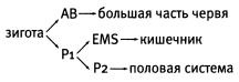 Рождение сложности. Эволюционная биология сегодня. Неожиданные открытия и новые вопросы Рождение сложности. Эволюционная биология сегодня. Неожиданные открытия и новые вопросы