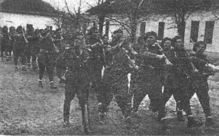 Десанты 1941 года Десанты 1941 года