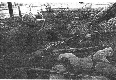 Десанты 1941 года Десанты 1941 года