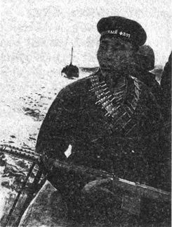 Десанты 1941 года Десанты 1941 года
